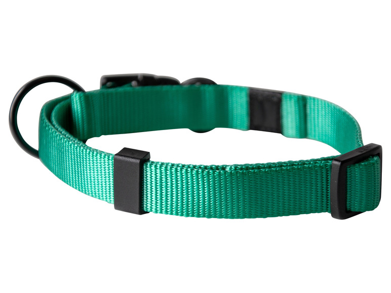 Aller en mode plein écran : Collier avec laisse - Image 17