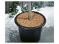 Plante en pot avec un tapis de coco, entourée de neige sur une terrasse en bois.