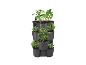 Un système de plantation vertical avec différentes plantes, notamment des pommes de terre.