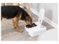 Un chien mangeant dans une gamelle automatique