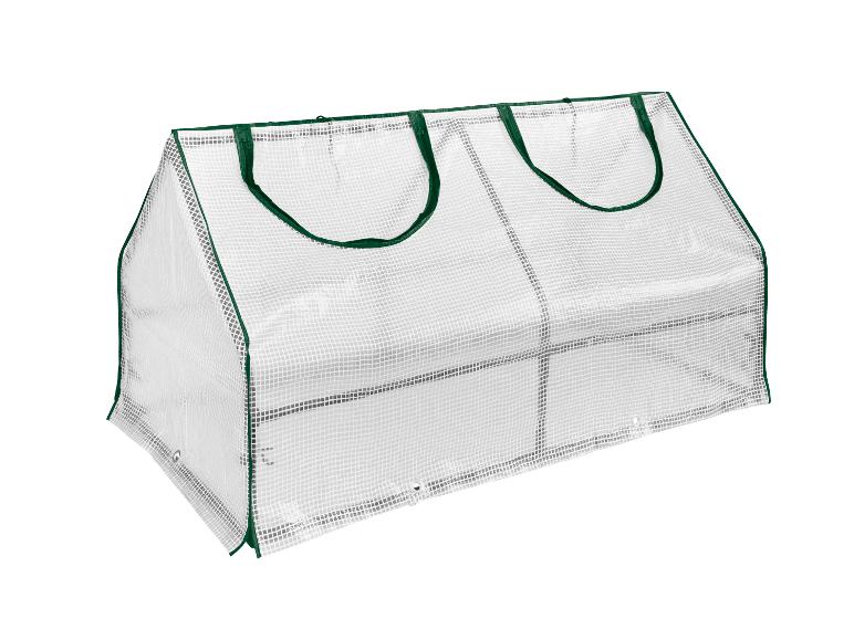 Une mini serre en plastique blanc avec des bordures vertes.