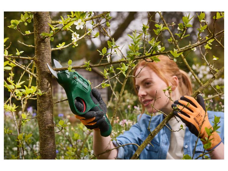 Femme coupe des branches d'arbre avec un sécateur électrique dans le jardin.