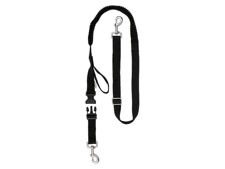 Laisse ou Collier avec laisse pour chien