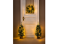 Couronne de Noël et deux petits sapins lumineux devant une porte.