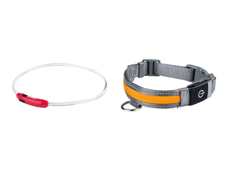 Aller en mode plein écran : zoofari® Collier à LED pour chien ou collier lumineux USB - Image 1