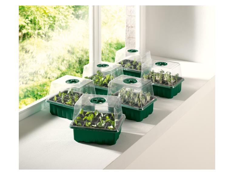 Bac à semis avec couvercle pour la culture de plantes.