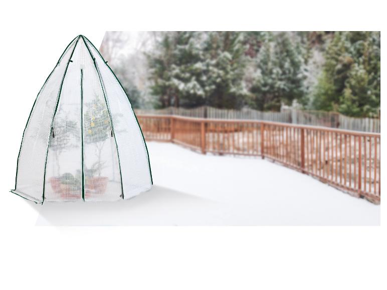 Serre transparente en forme de dôme avec des plantes sur un patio enneigé