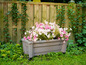 Jardinière avec des pétunias roses et blanches devant une clôture en bois.
