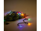 Guirlande lumineuse de Noël avec LED colorées sur une branche de sapin verte, projetant des reflets vifs.