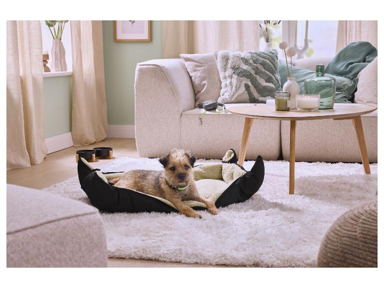 Chien allongé dans un panier pour chien sur un tapis moelleux dans un salon avec canapé et table basse.