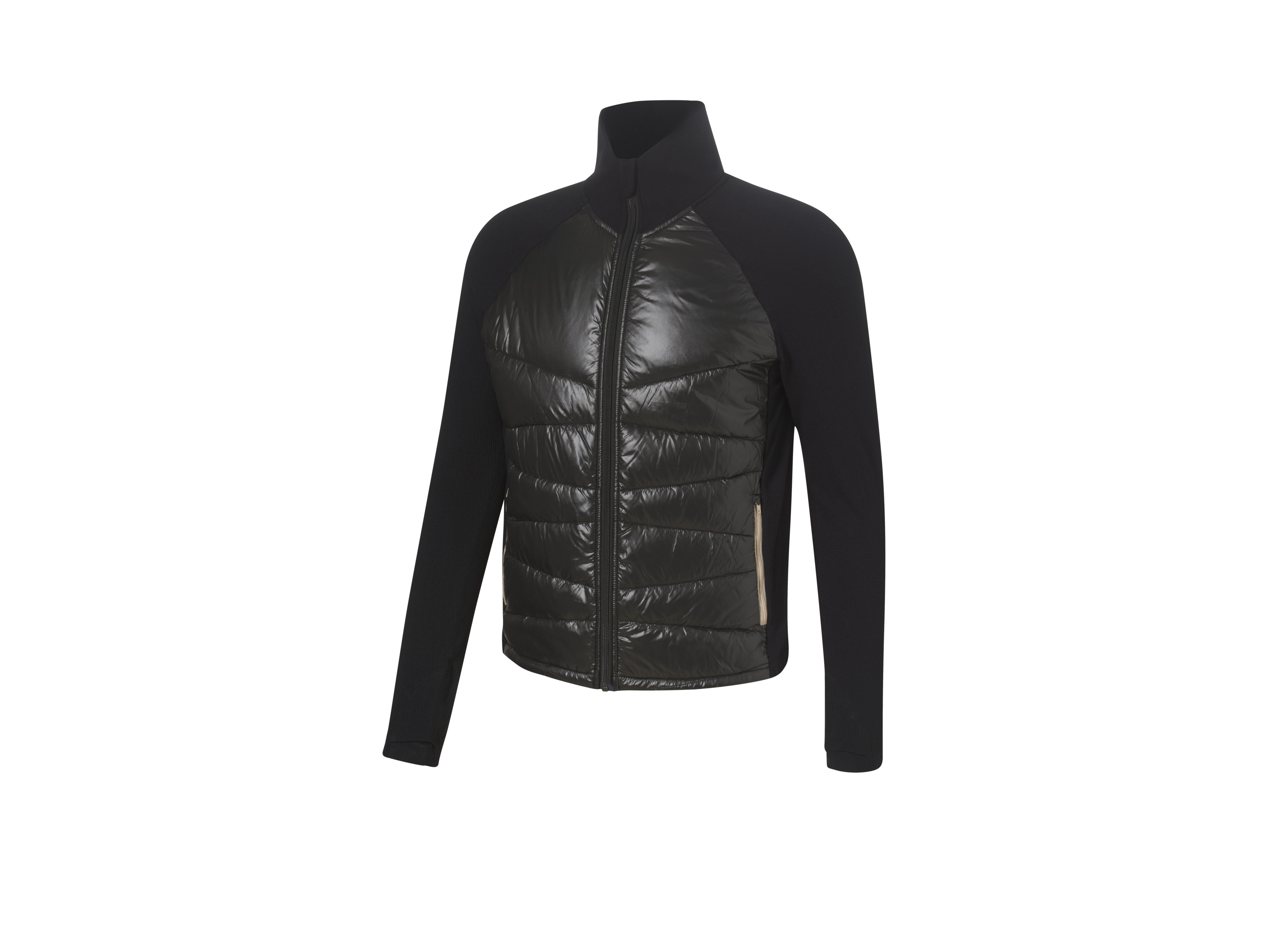 CRIVIT Veste homme (noir, S)