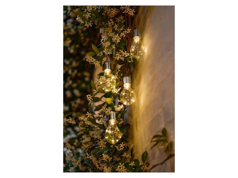 Guirlande lumineuse avec ampoules transparentes et petites fleurs blanches sur un mur.