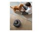 Un homme caresse un chien pendant qu'un robot aspirateur nettoie le parquet des poils d'animaux.