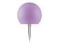 Punaise à tête ronde violette.
