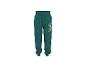 Pantalon de jogging vert sarcelle pour enfant avec motif dinosaure et personnage de dessin animé.