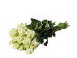 Bouquet de roses blanches avec des feuilles vertes.