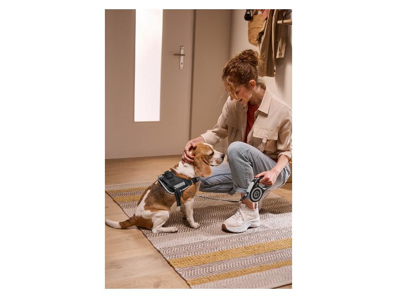 Femme caressant un chien avec harnais et laisse, prête pour une promenade.