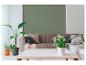 Salon avec mur vert, canapé gris, coussins, plaids, plantes et table basse blanche.