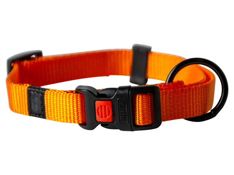 Aller en mode plein écran : Collier avec laisse - Image 26