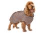 Cocker spaniel en veste marron pour chien avec patte et inscription