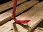 Un pied-de-biche rouge sur des planches de bois.