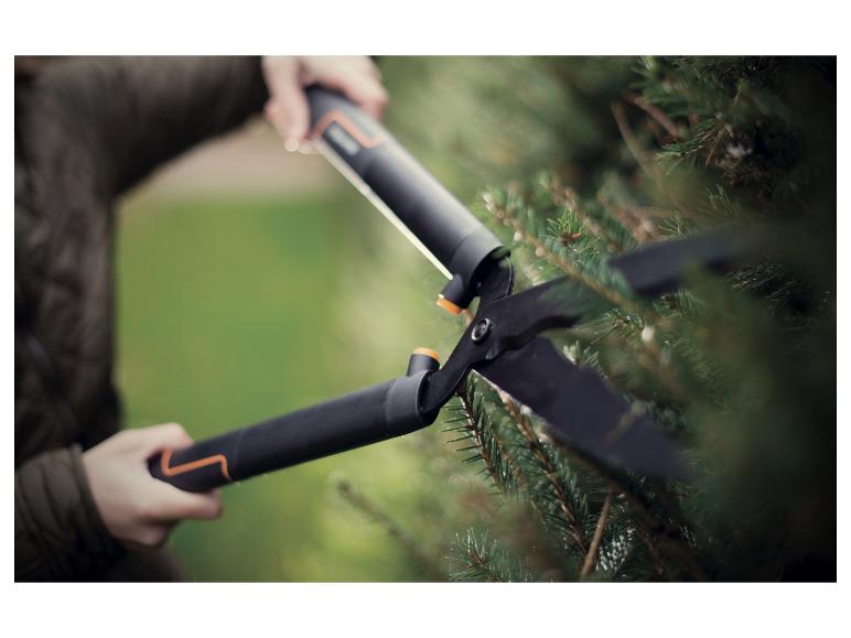 Une personne utilise une paire de cisailles pour tailler un conifère.