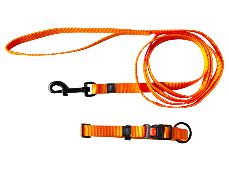 Aller en mode plein écran : Collier avec laisse - Image 23