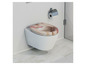 Une toilette avec un siège en bois et des fleurs roses.