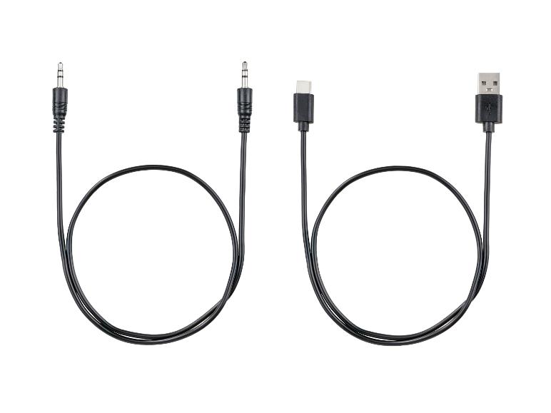 Deux câbles noirs : un avec prises jack 3,5 mm, un avec USB-C et USB-A.
