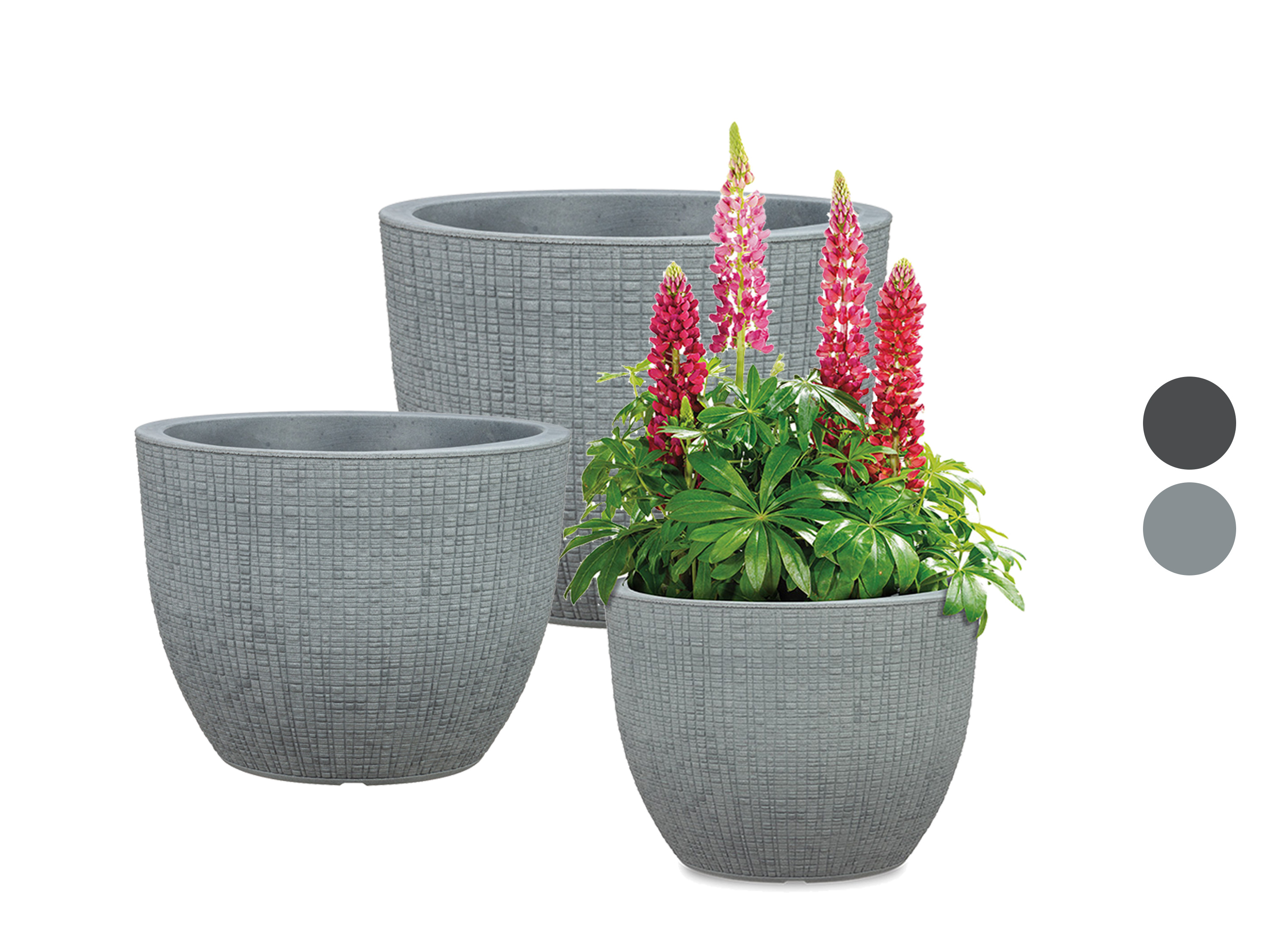 Scheurich Pot à plantes « Barceo », plastique