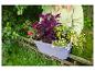 Personne avec une jardinière de balcon remplie de fleurs colorées sur une clôture en bois.
