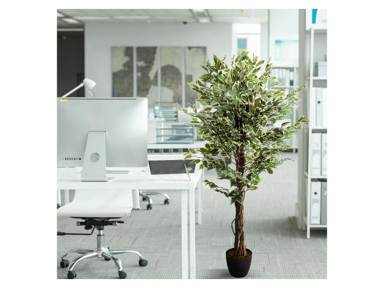 Arbre artificiel en pot dans un bureau moderne avec bureaux et ordinateurs.