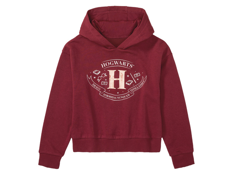 Aller en mode plein écran : Sweat à capuche fille Harry Potter - Image 5