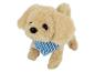 Un chien en peluche avec un ruban bleu et blanc à rayures.