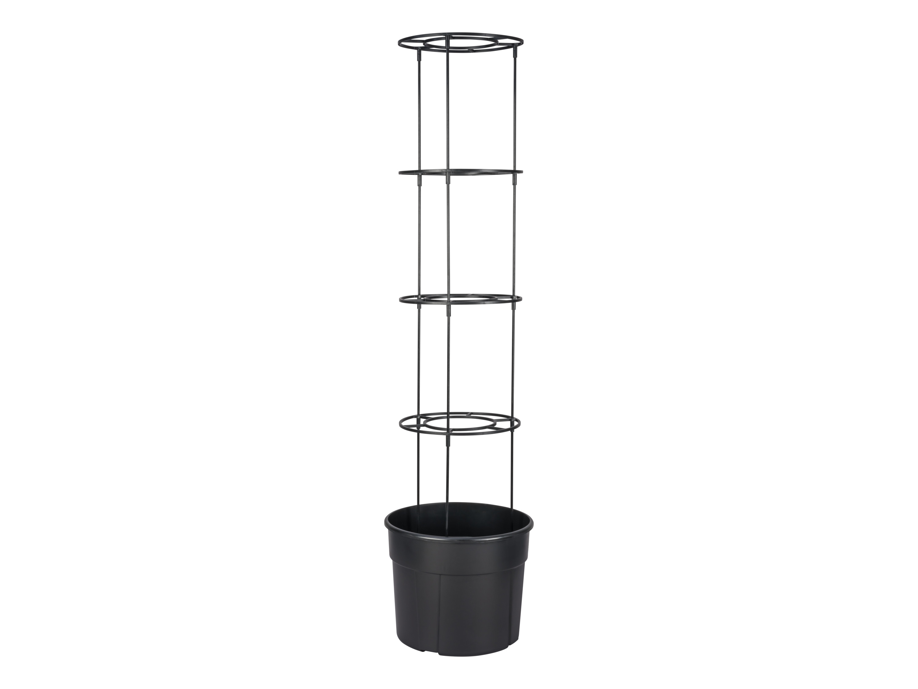 PARKSIDE® Pot pour plants de tomates