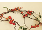 Guirlande décorative de baies rouges et de branches sur un mur clair.