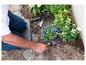 Personne plantant des fleurs dans un jardin, avec des outils de jardinage et un coussin de jardinage.