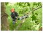 Un homme utilisant une tronçonneuse Parkside pour tailler un arbre.