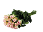 Bouquet de roses rose pâle avec des feuilles vertes sur fond noir.