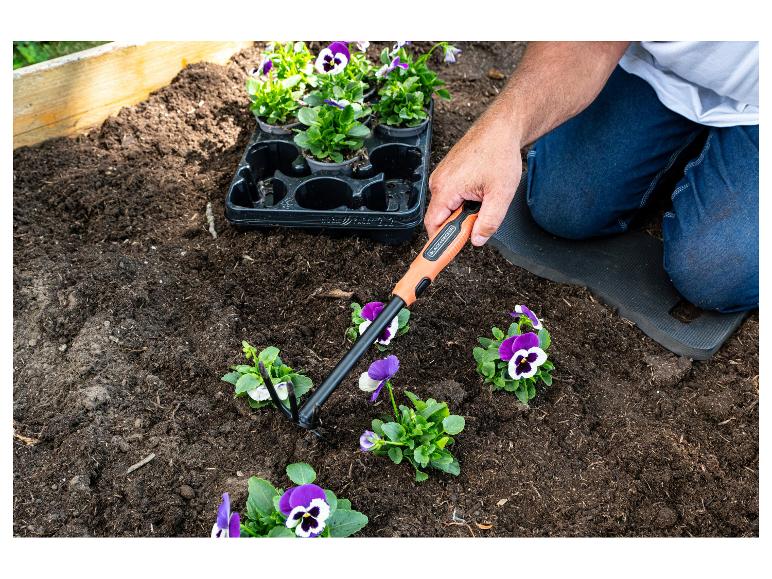 Personne plantant des pensées dans un parterre avec un outil de jardinage.