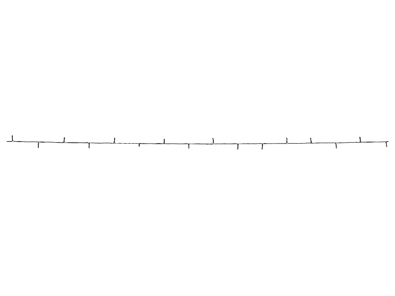 LIVARNO® LED-Lichterkette avec 8 effets lumineux, isolé sur fond blanc.