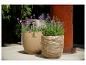 Deux jardinières avec de la lavande et des fleurs violettes sur une terrasse.