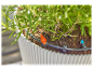 Arrosage goutte-à-goutte d'un pot de romarin avec un système d'irrigation.