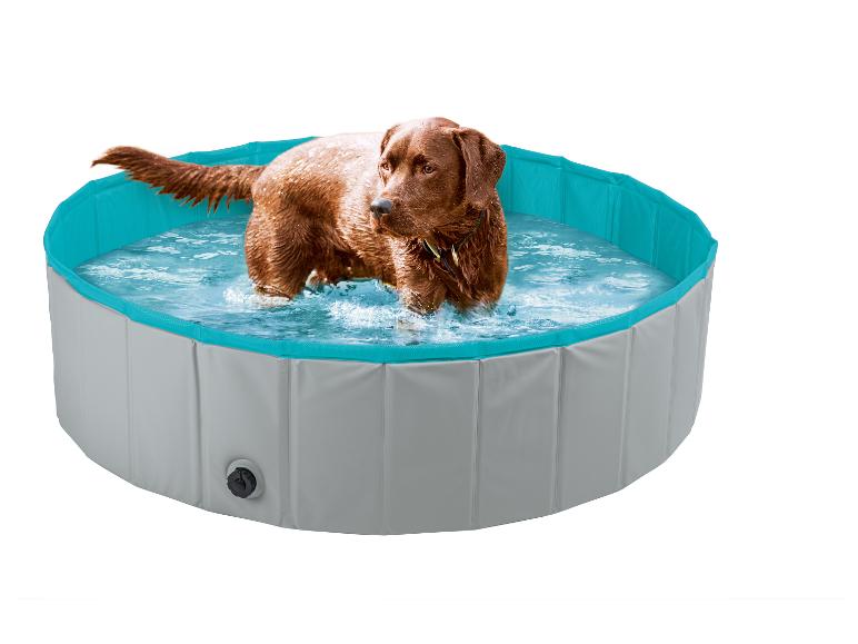 Chien marron debout dans une piscine pliable pour animaux de compagnie remplie d'eau.