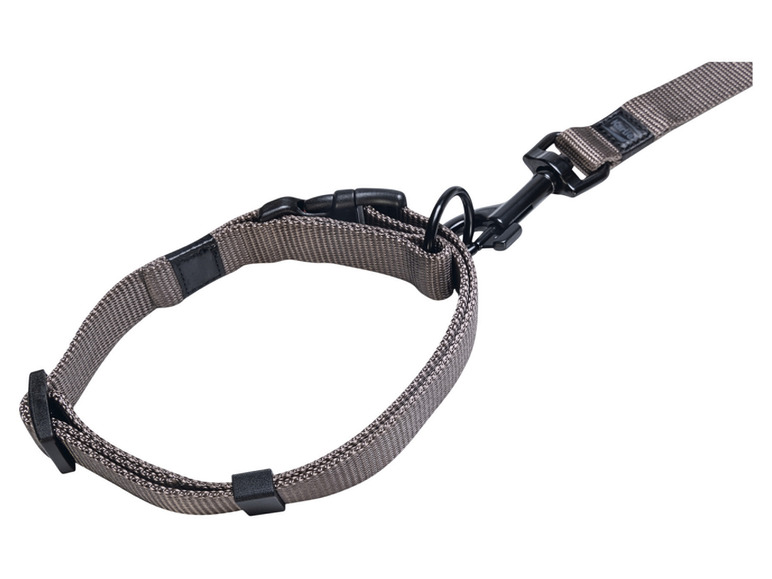 Aller en mode plein écran : Collier avec laisse - Image 7
