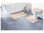 Accessoires de salle de bain avec tapis de bain, siège de toilette et baignoire.
