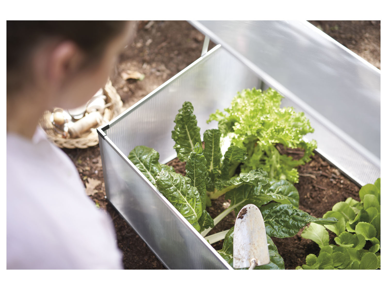 PARKSIDE® Miniserre de jardin Acheter en ligne LIDL
