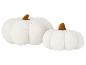 Deux citrouilles décoratives blanches et moelleuses avec des tiges marron.