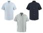 Trois chemises à manches courtes pour hommes : bleu clair, bleu marine et rayée verte.