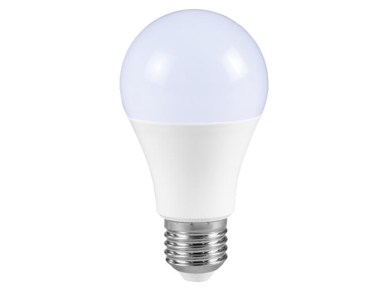 Ampoule LED blanche avec culot E27 sur fond blanc